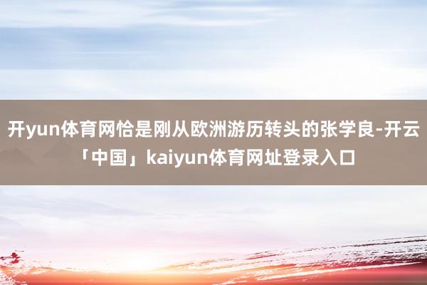 开yun体育网恰是刚从欧洲游历转头的张学良-开云「中国」kaiyun体育网址登录入口