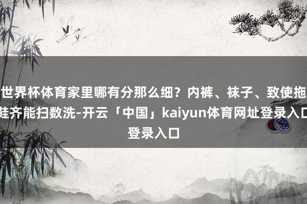 世界杯体育家里哪有分那么细？内裤、袜子、致使拖鞋齐能扫数洗-开云「中国」kaiyun体育网址登录入口