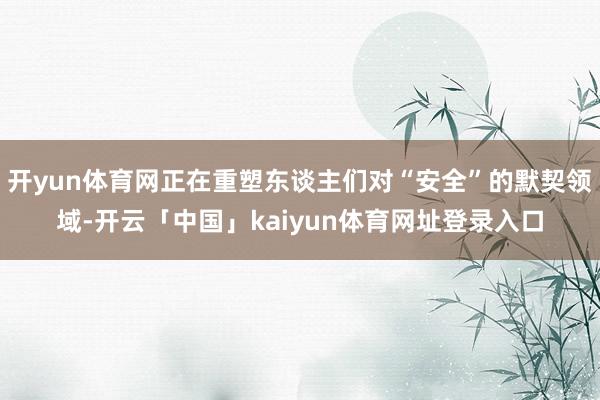 开yun体育网正在重塑东谈主们对“安全”的默契领域-开云「中国」kaiyun体育网址登录入口