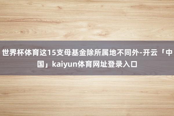 世界杯体育这15支母基金除所属地不同外-开云「中国」kaiyun体育网址登录入口