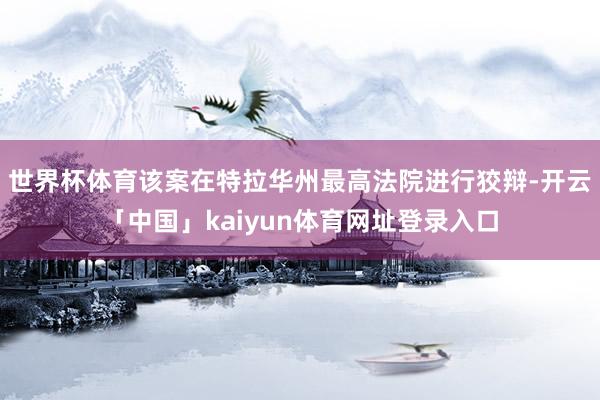 世界杯体育该案在特拉华州最高法院进行狡辩-开云「中国」kaiyun体育网址登录入口