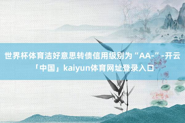 世界杯体育洁好意思转债信用级别为“AA-”-开云「中国」kaiyun体育网址登录入口